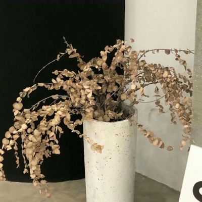 兽设治愈风格绘画兽圈社群